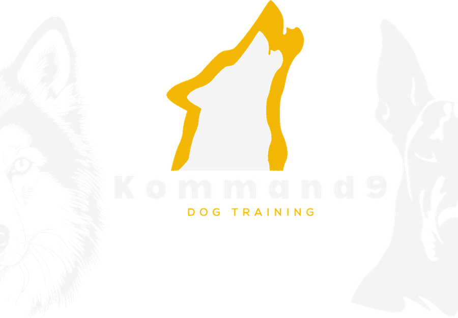 Kommand9 Dog Training